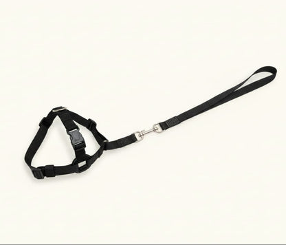 arnes-perro-rojo-con-correa-vimarq.com-El-Salvador2