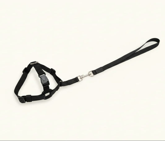 arnes-perro-rojo-con-correa-vimarq.com-El-Salvador2