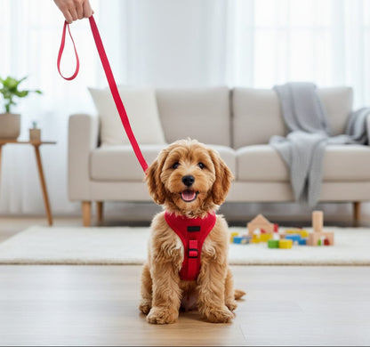 arnes-perro-rojo-con-correa-vimarq.com-El-Salvador4