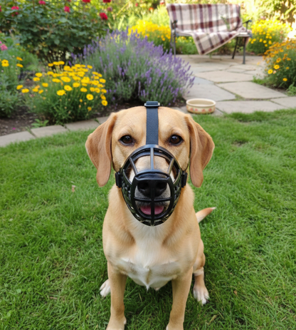 bozal-canasta-perro-negro-frontal-vimarq.com-El-Salvador1