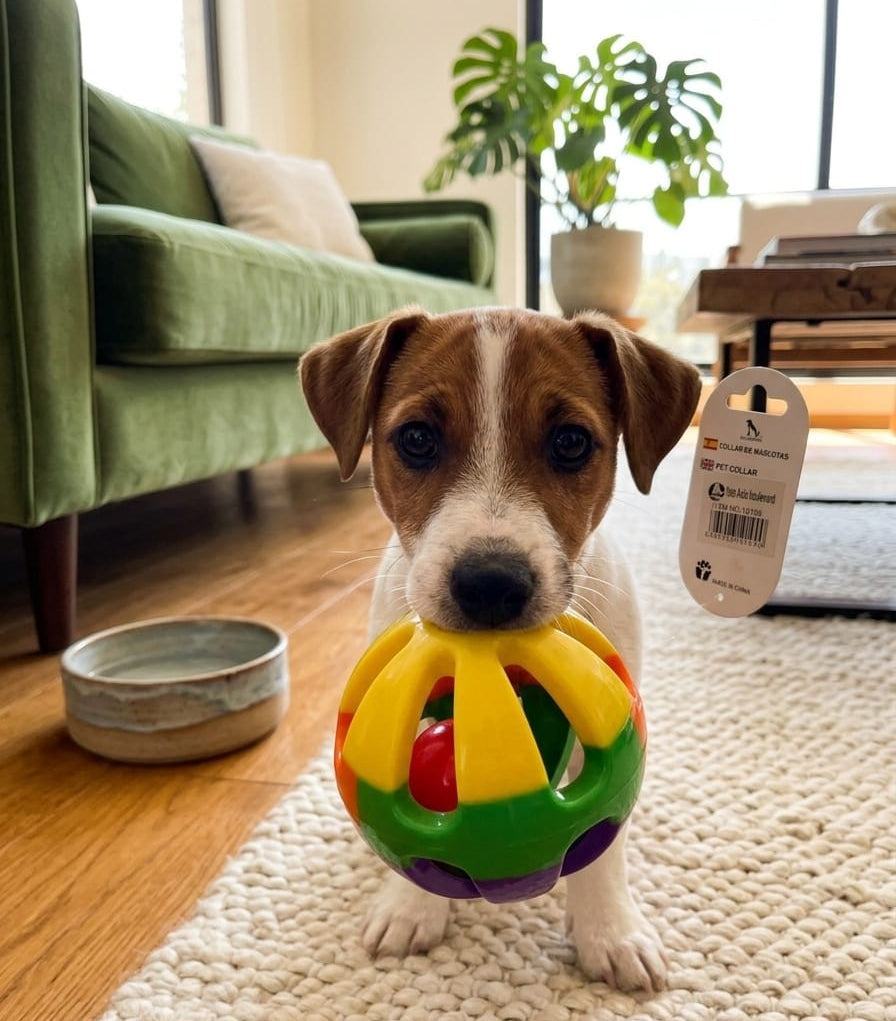 cachorro-con-pelota-sonajero-multicolor-vimarq.com-El-Salvador2