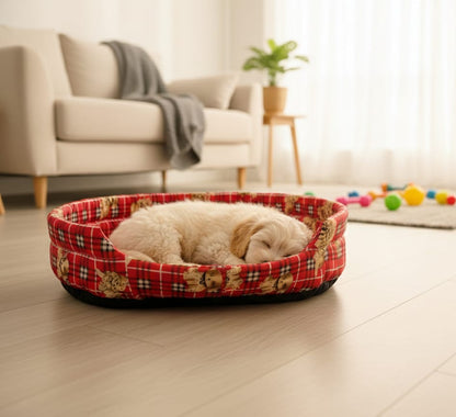 cama-perro-acolchada-estampado-azul-vimarq.com-el-salvador4