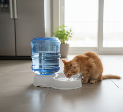 dispensador-agua-automatico-mascotas-vimarq.com-El-Salvador3