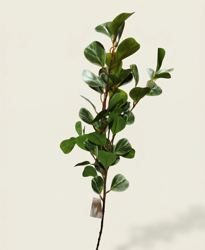 ficus-benjamina-variegado-artificial-hoja-blanca-vimarq-com-el-salvador