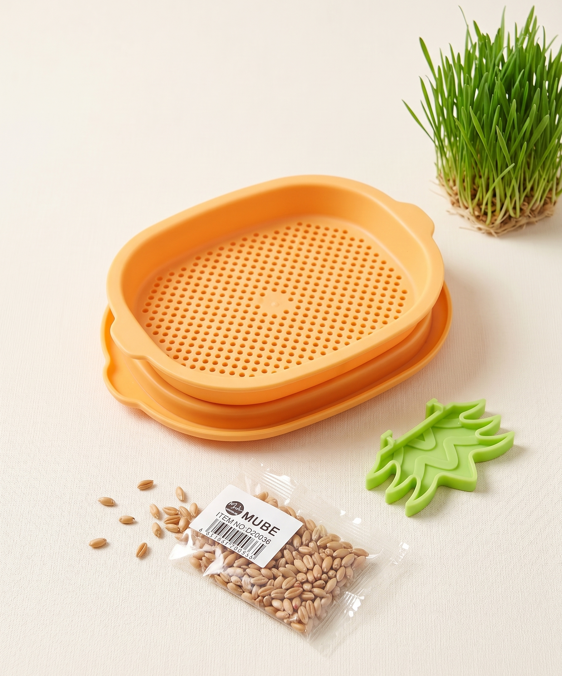 kit-germinador-pasto-gatos-naranja-vimarq-com-el-salvador2