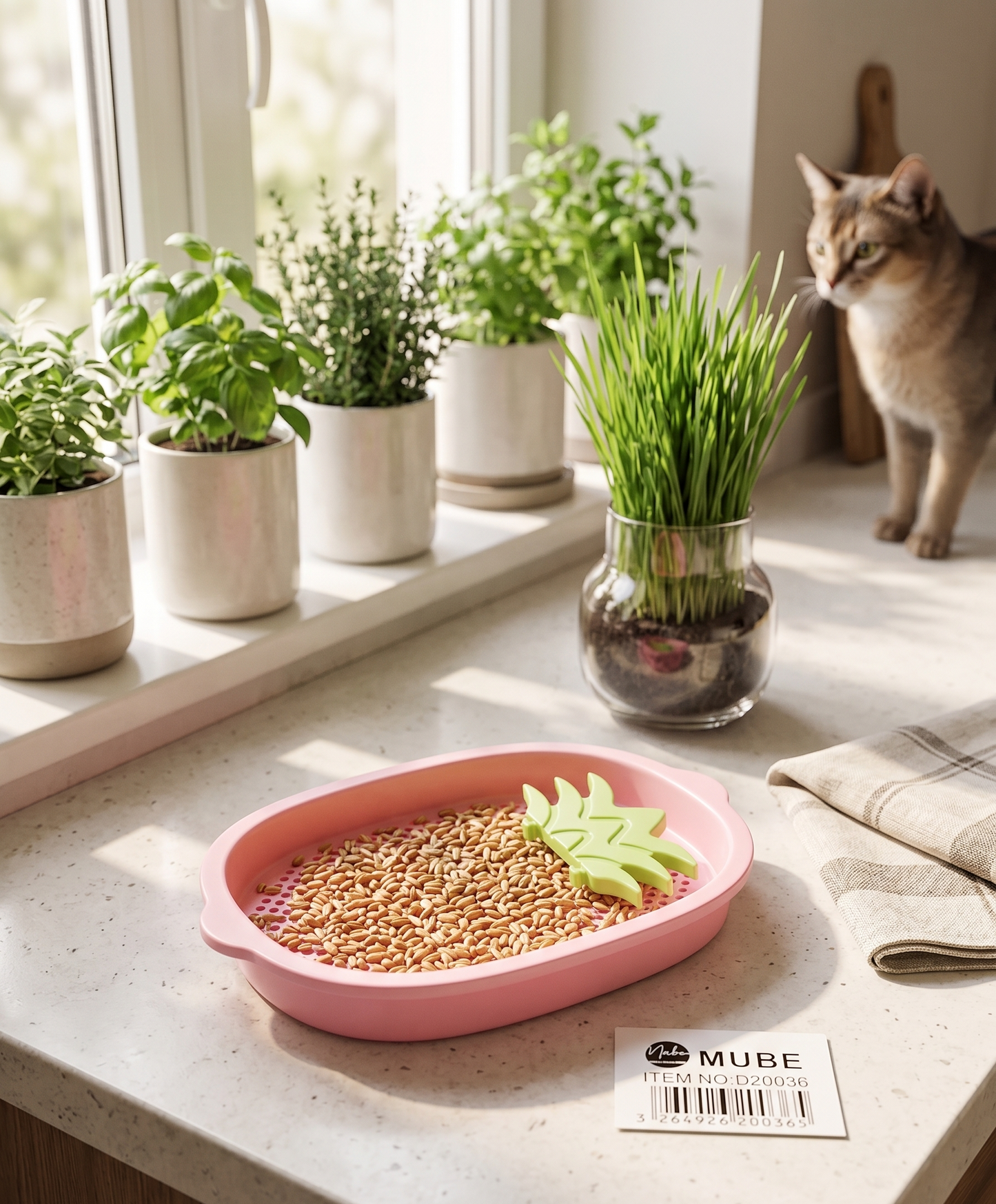 kit-germinador-pasto-gatos-rosa-vimarq-com-el-salvador