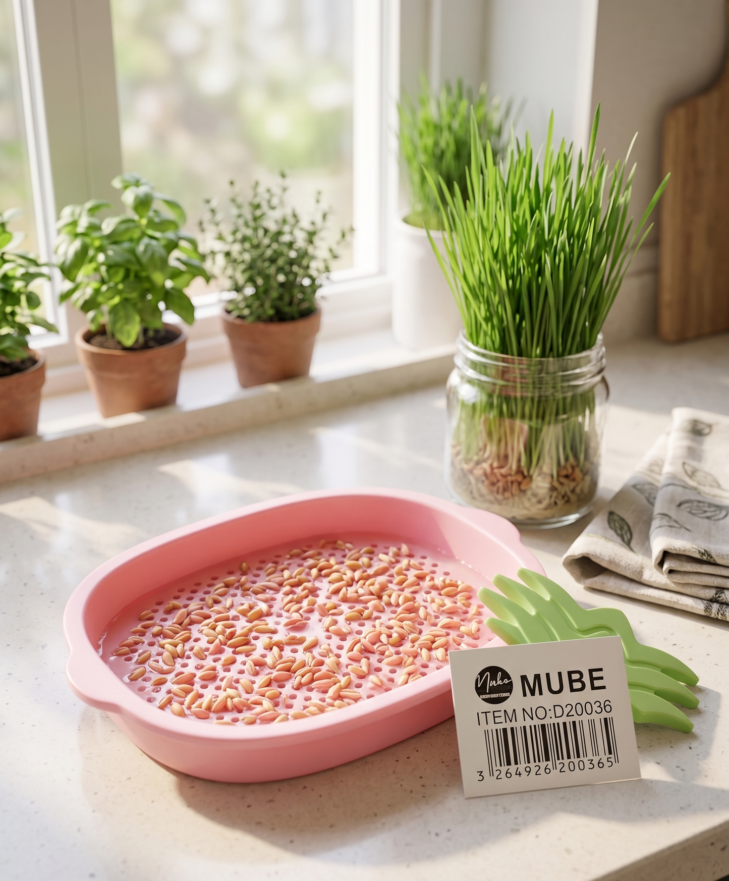 kit-germinador-pasto-gatos-rosa-vimarq-com-el-salvador3