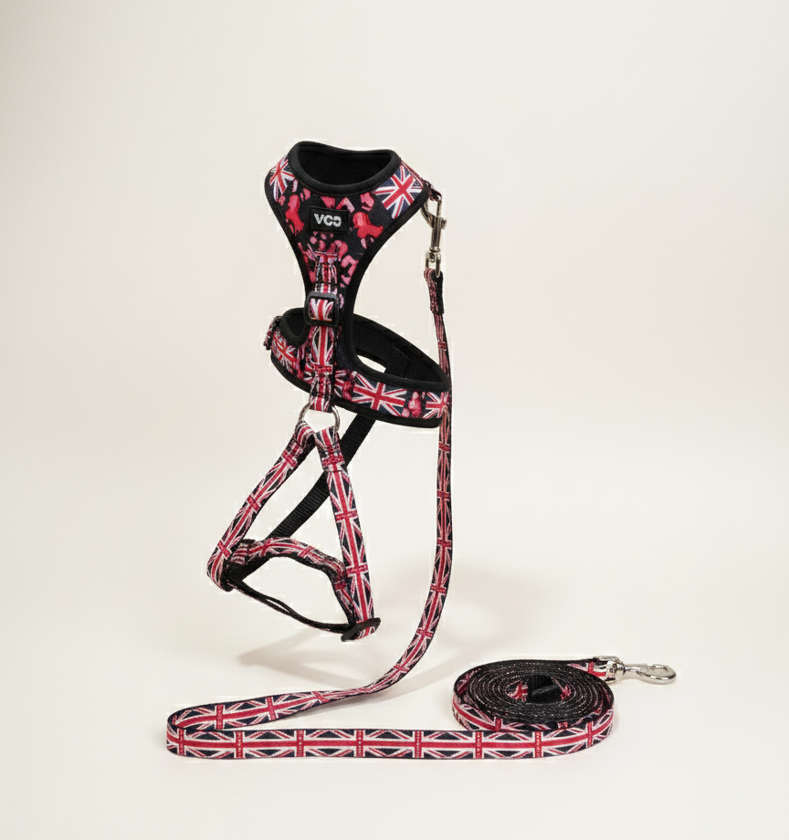 pechera-correa-perro-diseno-britanico-vimarq.com-El-Salvador2