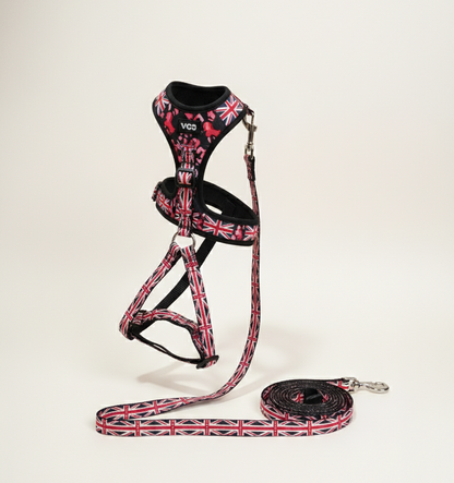 pechera-correa-perro-diseno-britanico-vimarq.com-El-Salvador2