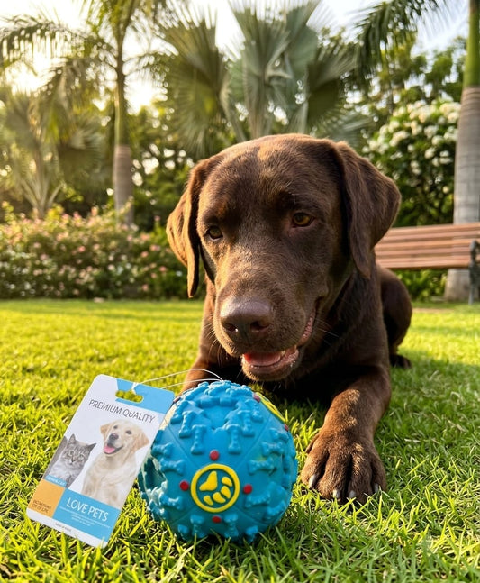 pelota-mordedora-perros-azul