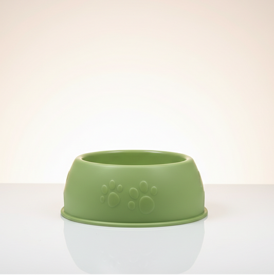 perro-comiendo-plato-verde-ergonomico-vimarq.com-El-Salvador